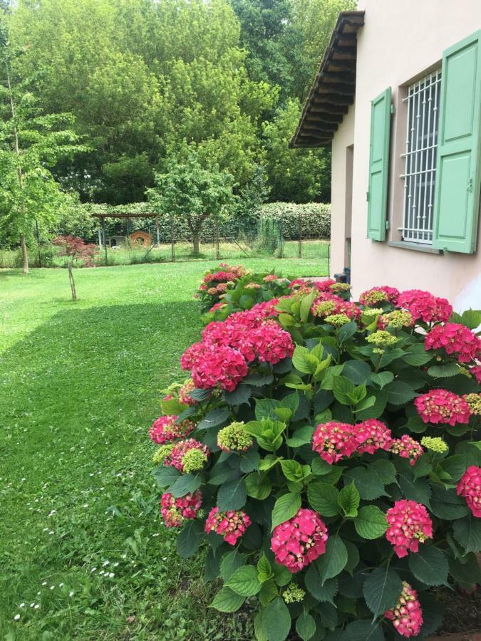 Villa Favilli ピサ エクステリア 写真